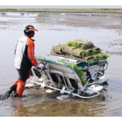 1- Bigdel Kubota SPW-68CM Çeltik Fide Dikim Makinesi